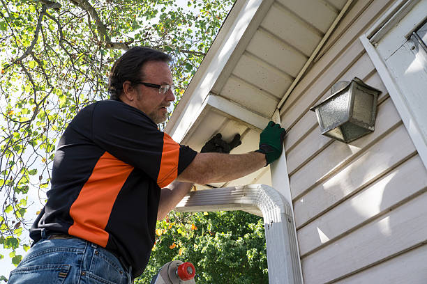 Best Siding Painting and Refinishing  in Concord, VA